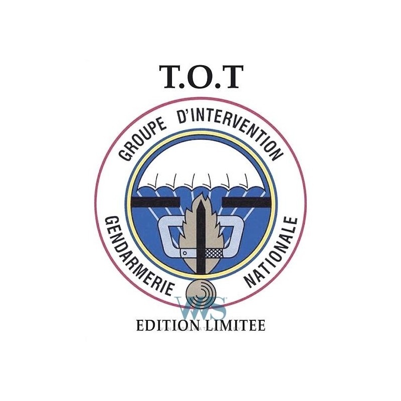 T.O.T (Chronographe G.I.G.N / 1ère série  - n° 100/200 Exemplaires), Projet 2004